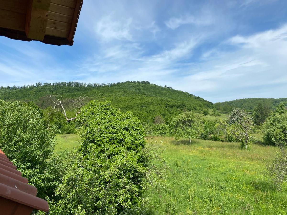 Вилла Casa Dea Gladna Montana Экстерьер фото